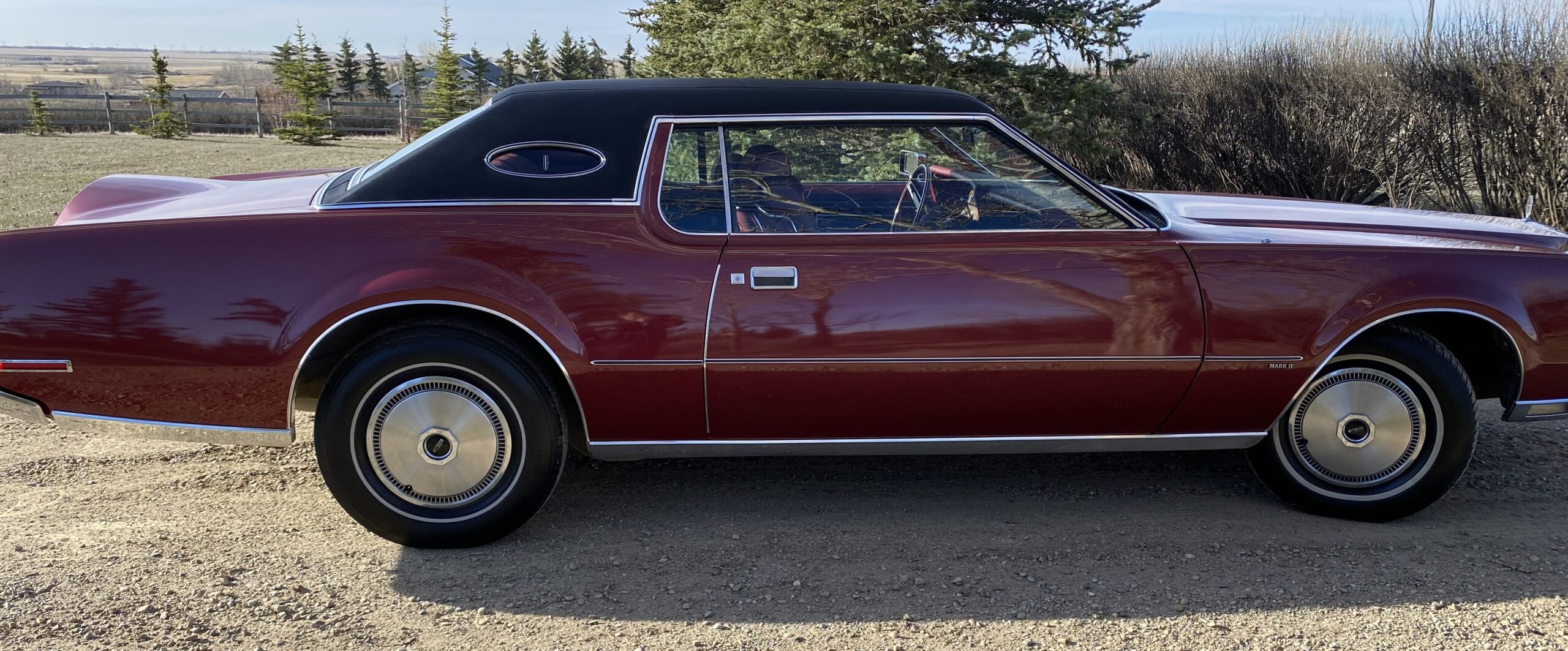 Photo 2024-04-13, 9 11 10 AM